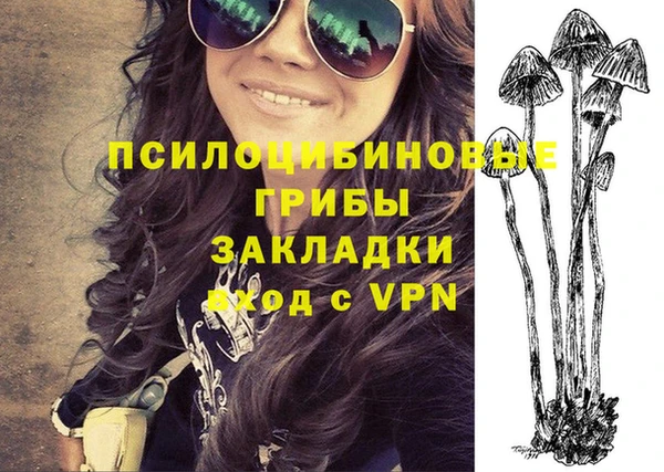 винт Бородино
