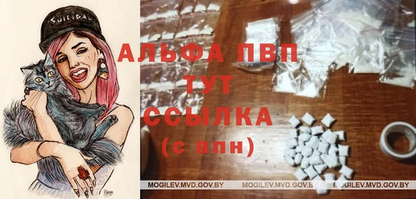 винт Бородино